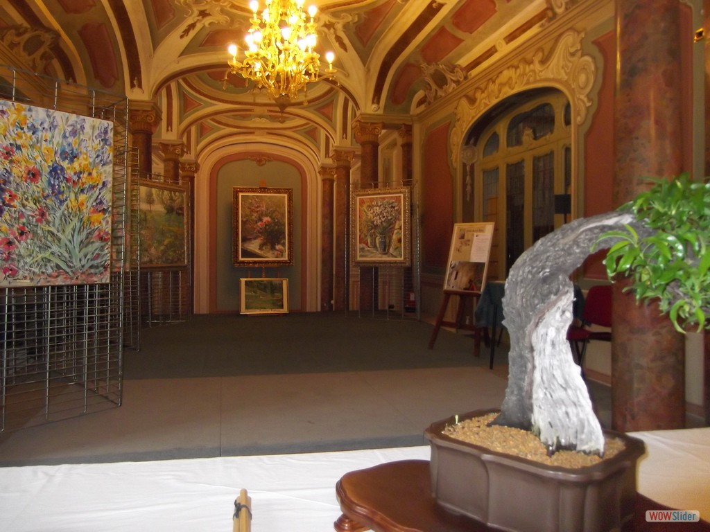 20- Mostra dal bonsai