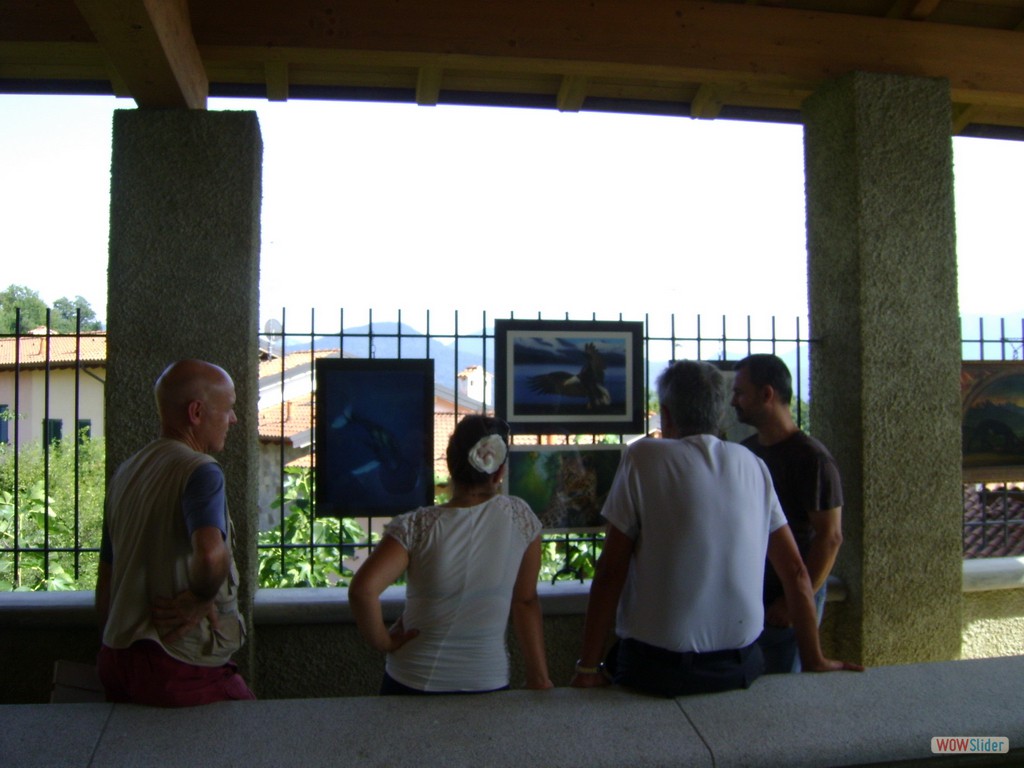 18- M. Stefanoni e le sue opere B