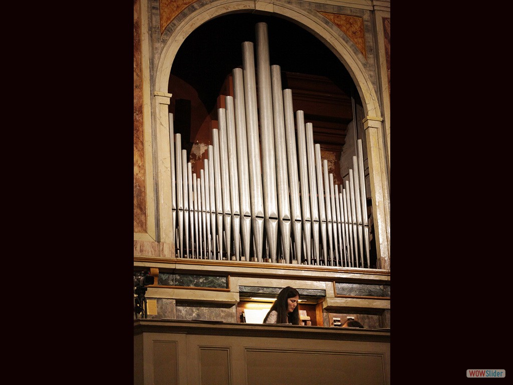 3- organo di Bosco